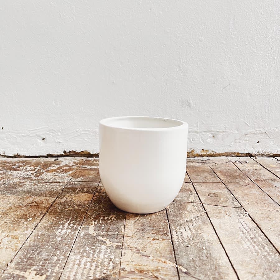 Matera Sire - Imagen 2